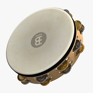 3D meinl tambourine wood