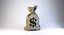 Sac d'argent (dollar)