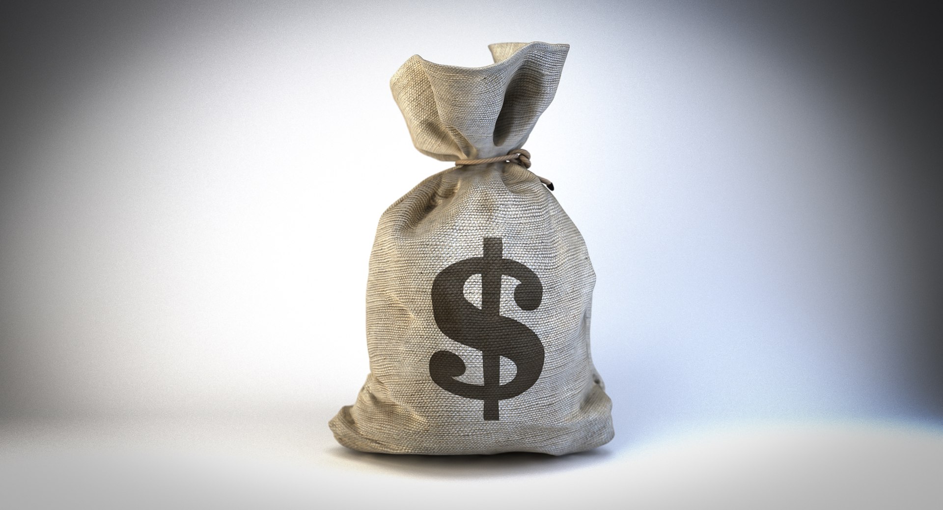 Money Bag Dollar 3d Max