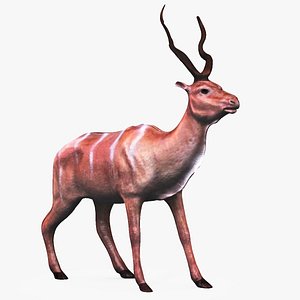 3d model greater kudo