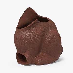 Chocolate Easter Bunny Without a Head