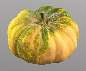 3D pumpkin 10 polly