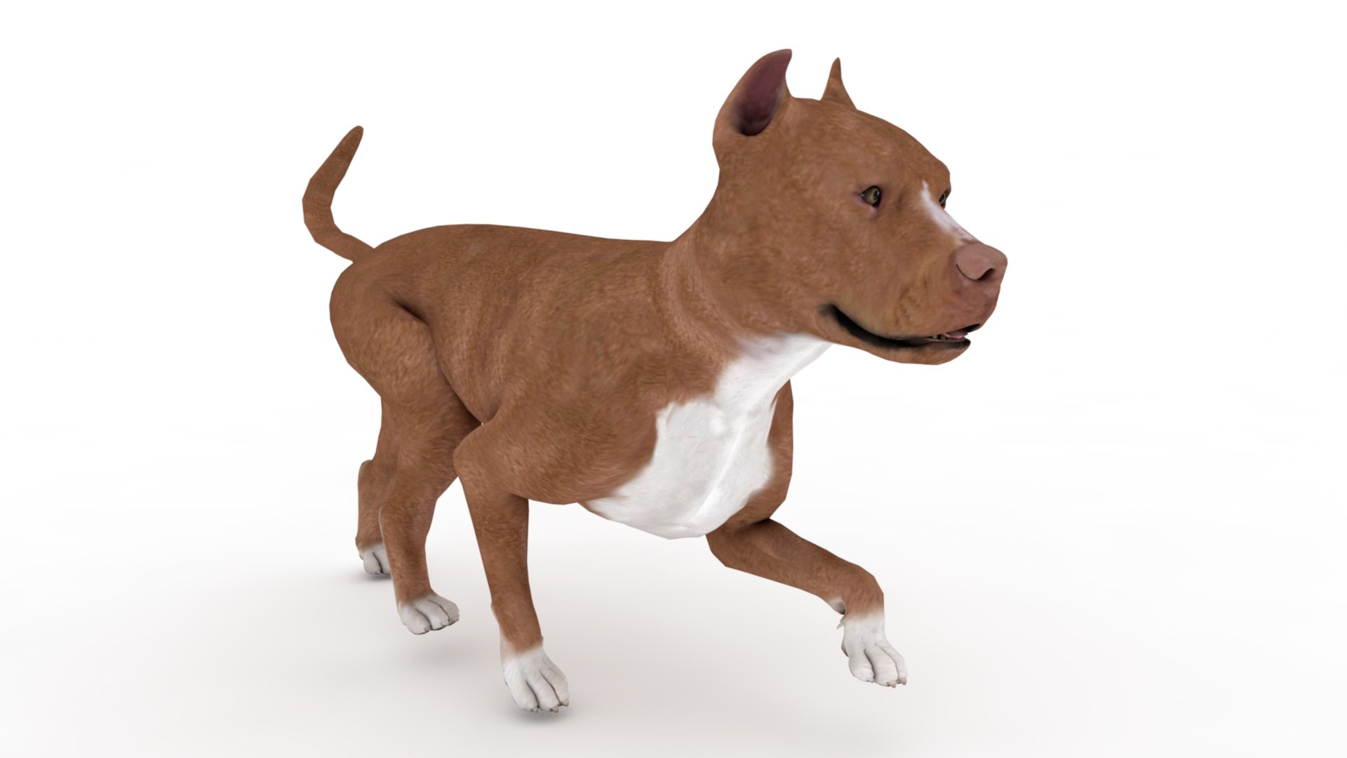 3D Pitbull https://p.turbosquid.com/ts-thumb/hH/GY6MKx/3y/dfs0018/jpg/1675272586/1920x1080/fit_q87/f84fe95b97f63dbbf3dfce68ea698fb8fc7c3fe8/dfs0018.jpg