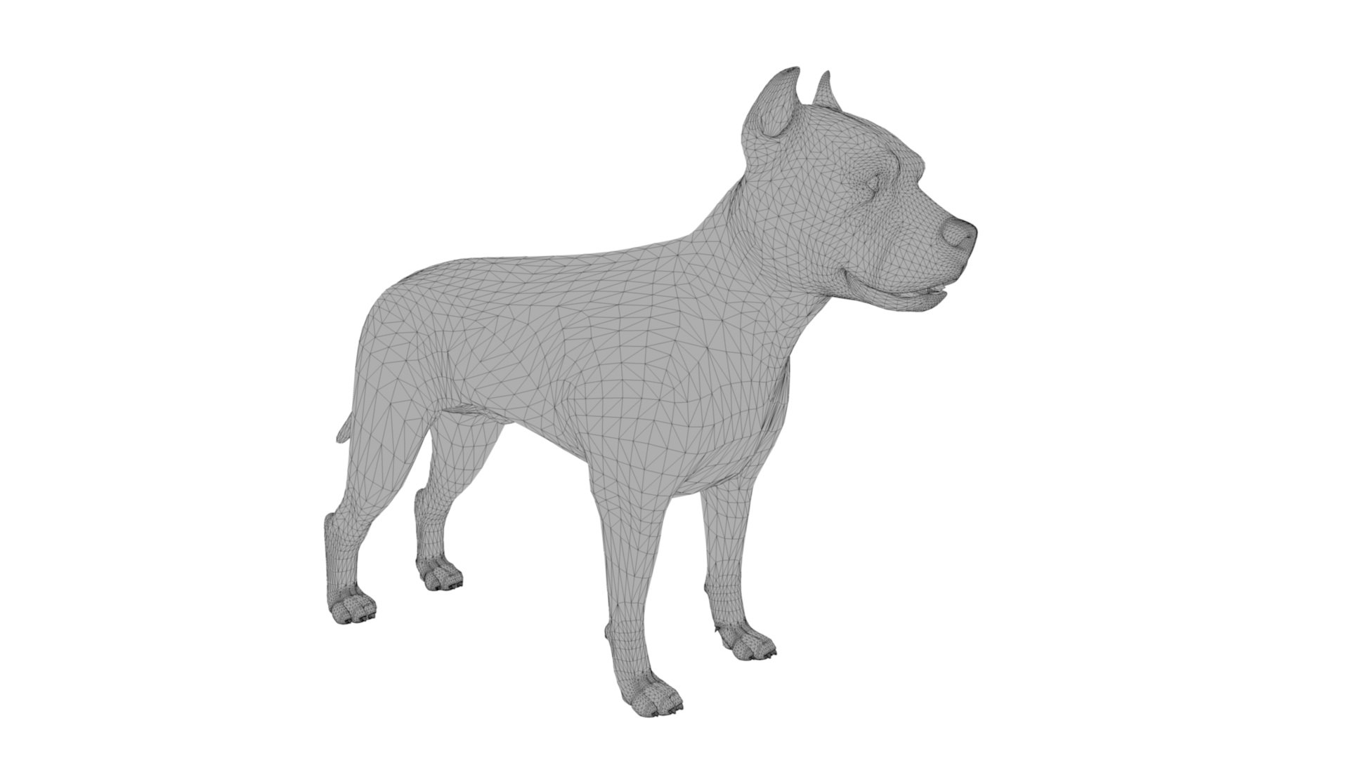 3D Pitbull https://p.turbosquid.com/ts-thumb/hH/GY6MKx/5A/dfs0009/jpg/1675272583/1920x1080/fit_q87/54041cd8aa77a768a5d6d4857a9abde16755ab58/dfs0009.jpg
