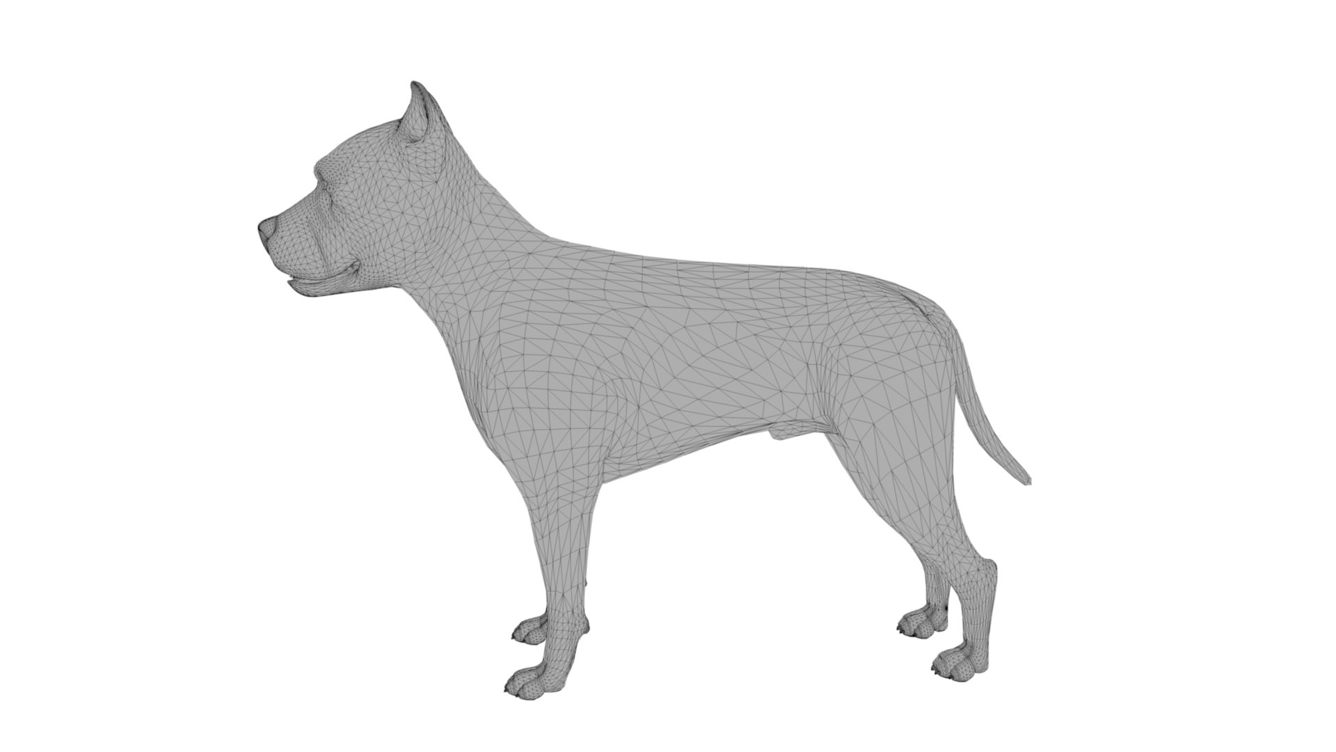 3D Pitbull https://p.turbosquid.com/ts-thumb/hH/GY6MKx/Px/dfs0013/jpg/1675272589/1920x1080/fit_q87/fe0b99f03502dfe0e0e9090bab5dc86690038574/dfs0013.jpg