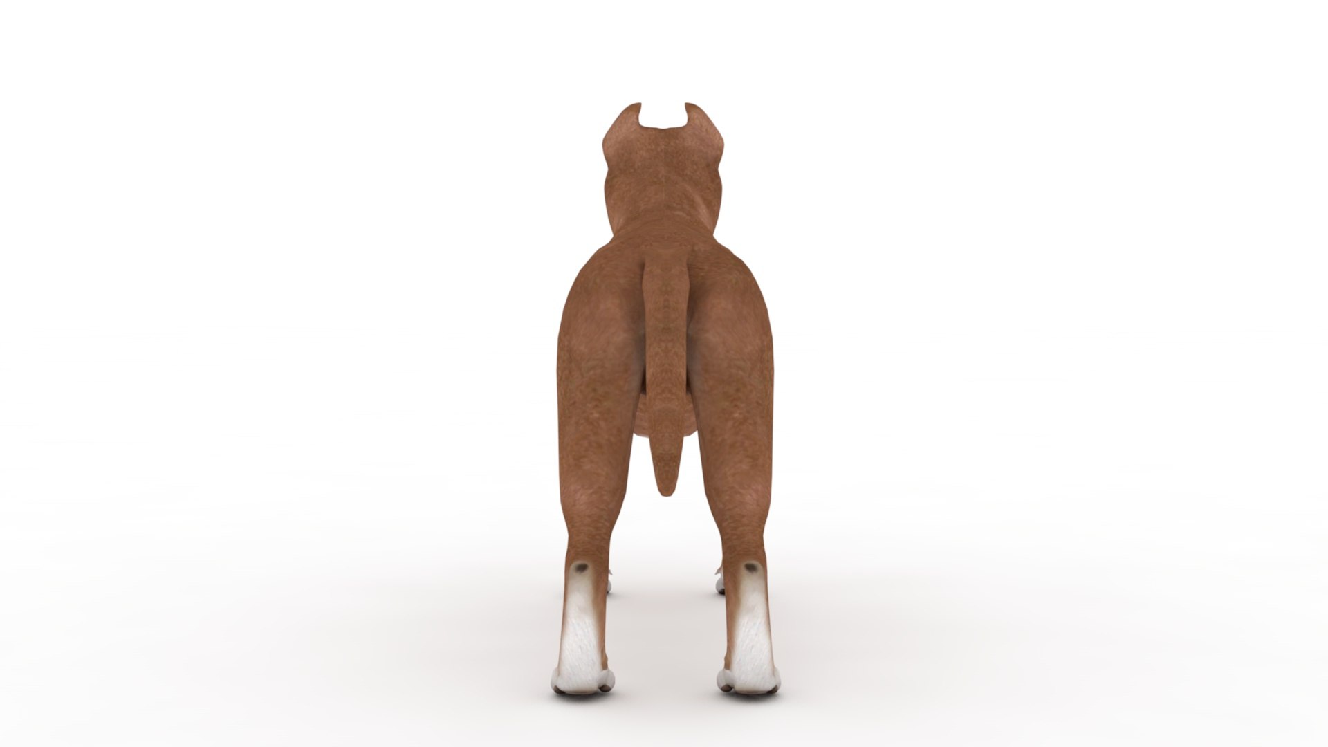 3D Pitbull https://p.turbosquid.com/ts-thumb/hH/GY6MKx/Tt/dfs0005/jpg/1675272581/1920x1080/fit_q87/bcae3974d2e04ec3689401a16610ddc0b462701f/dfs0005.jpg