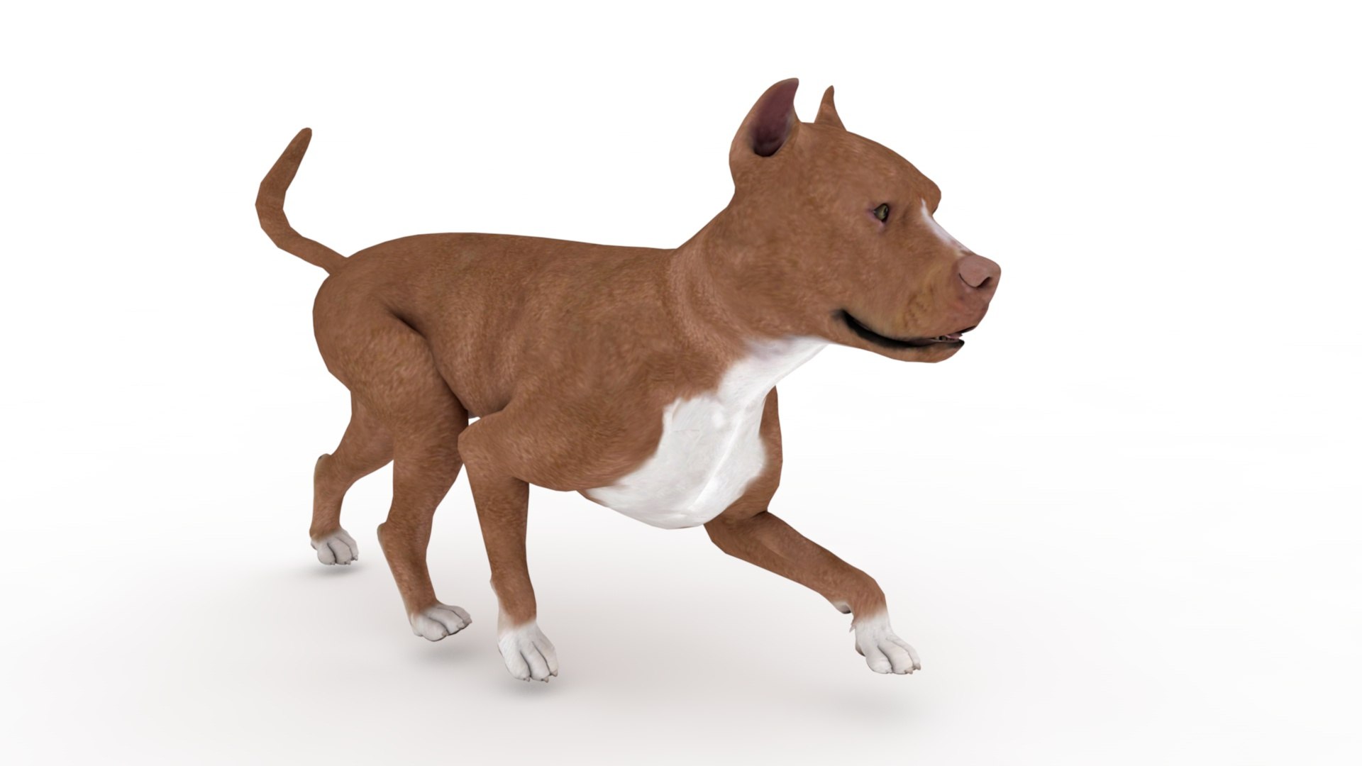 3D Pitbull https://p.turbosquid.com/ts-thumb/hH/GY6MKx/Wv/dfs0019/jpg/1675272586/1920x1080/fit_q87/e0d28ece16126edae3c28a297ffed140b5af2643/dfs0019.jpg