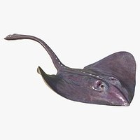Lindbergi Stingray Rigged For Blender