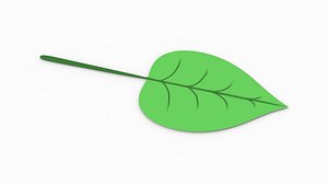 leaf plant nature 3D model