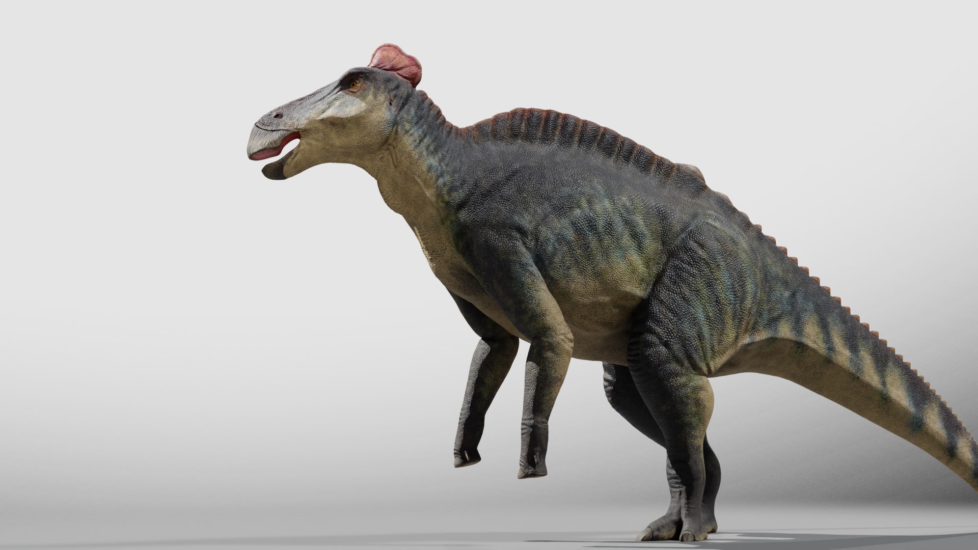 3D Edmontosaurus RIG model https://p.turbosquid.com/ts-thumb/hH/Y5r6cz/IE/0146/png/1767166212/1920x1080/fit_q87/f6acc29a78e17ebb486e4576255c5f3403d16f44/0146.jpg