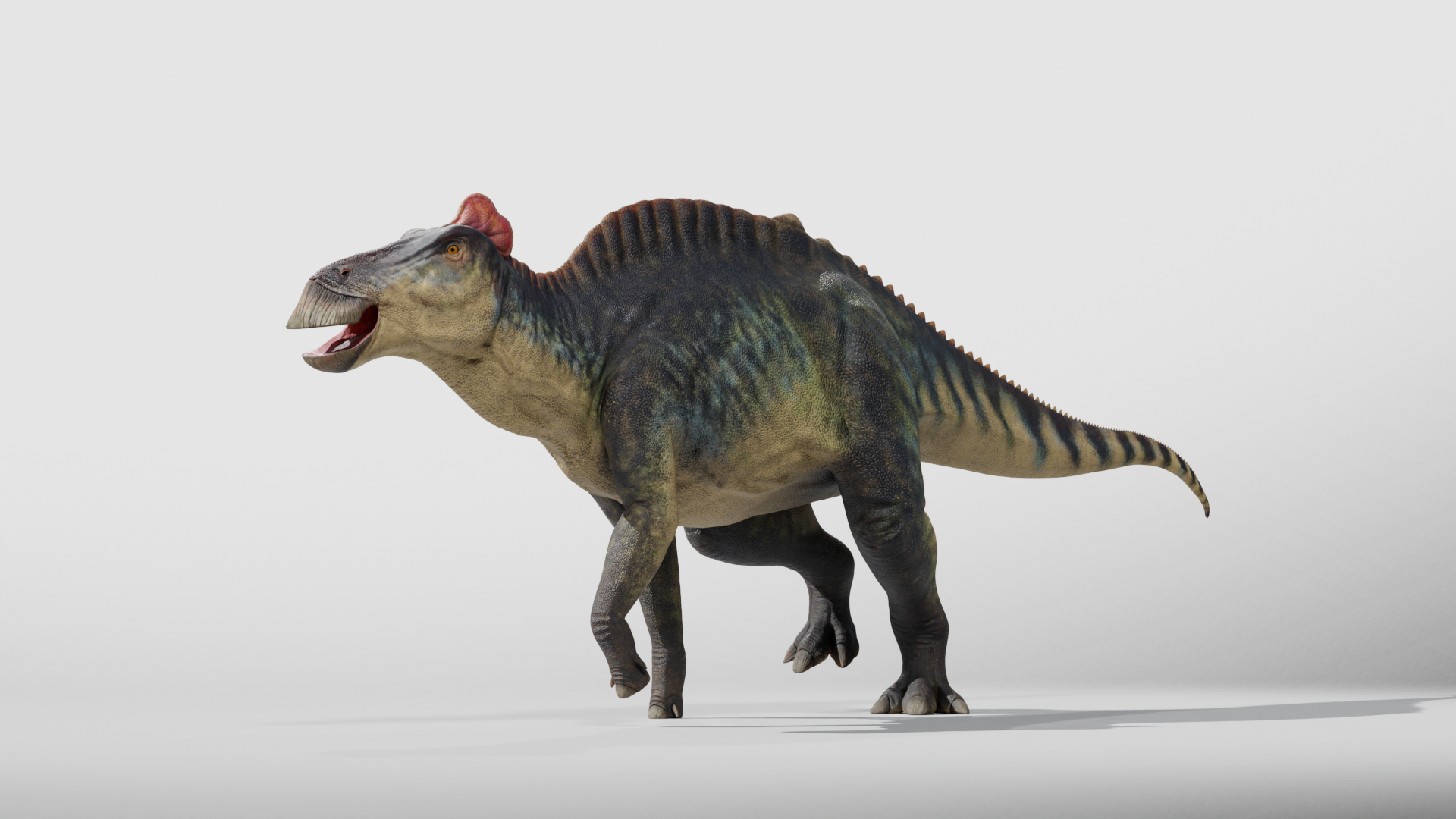3D Edmontosaurus RIG model https://p.turbosquid.com/ts-thumb/hH/Y5r6cz/hj/01/png/1767120088/1920x1080/turn_fit_q99/59be43a1f585b7721d34ce77eb5bd2884fe98bf7/01-1.jpg