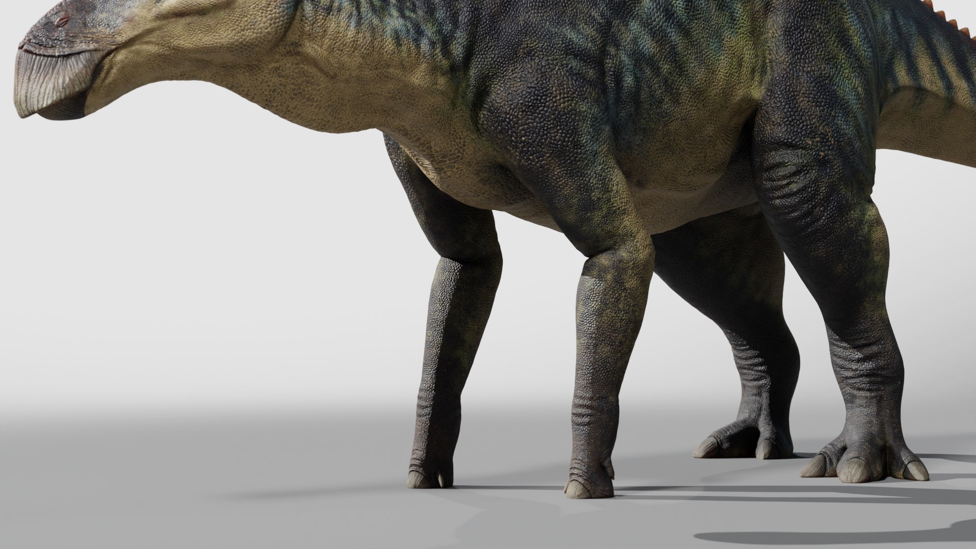 3D Edmontosaurus RIG model https://p.turbosquid.com/ts-thumb/hH/Y5r6cz/lJ/0001/png/1767166212/1920x1080/fit_q87/bd835ac694592dc63898743c0b5504c74a487c9e/0001.jpg