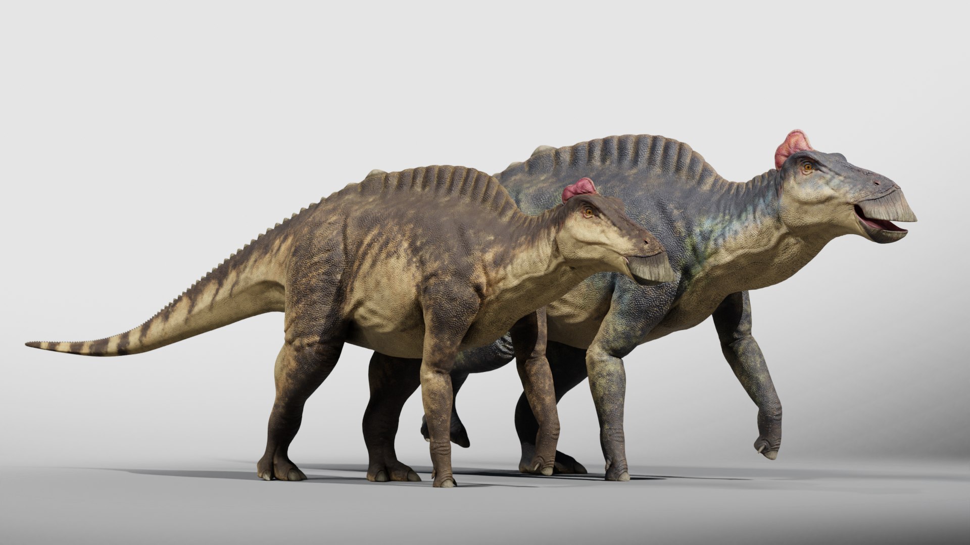 3D Edmontosaurus RIG model https://p.turbosquid.com/ts-thumb/hH/Y5r6cz/x7/008/png/1767167018/1920x1080/fit_q87/913d7fffd5be0ec3e085d147fff8011017188907/008.jpg
