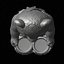 Panda. Toothpick holder