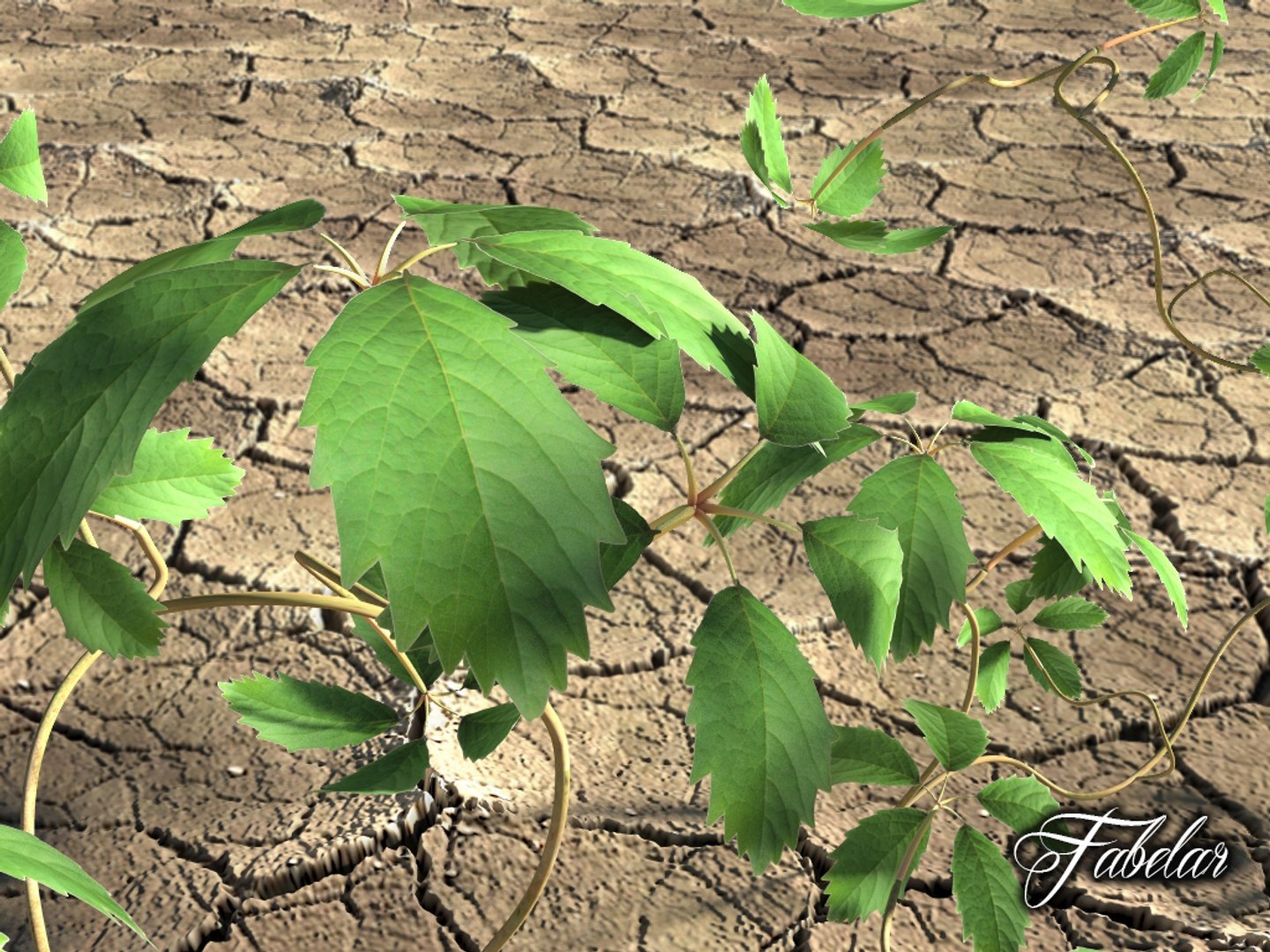 virginia creeper obj https://p.turbosquid.com/ts-thumb/hH/lAFExL/96HdKjmB/vitecan_03/jpg/1384979730/1920x1080/fit_q87/7962f533cc04e32602c082a8a5252766f63750d2/vitecan_03.jpg