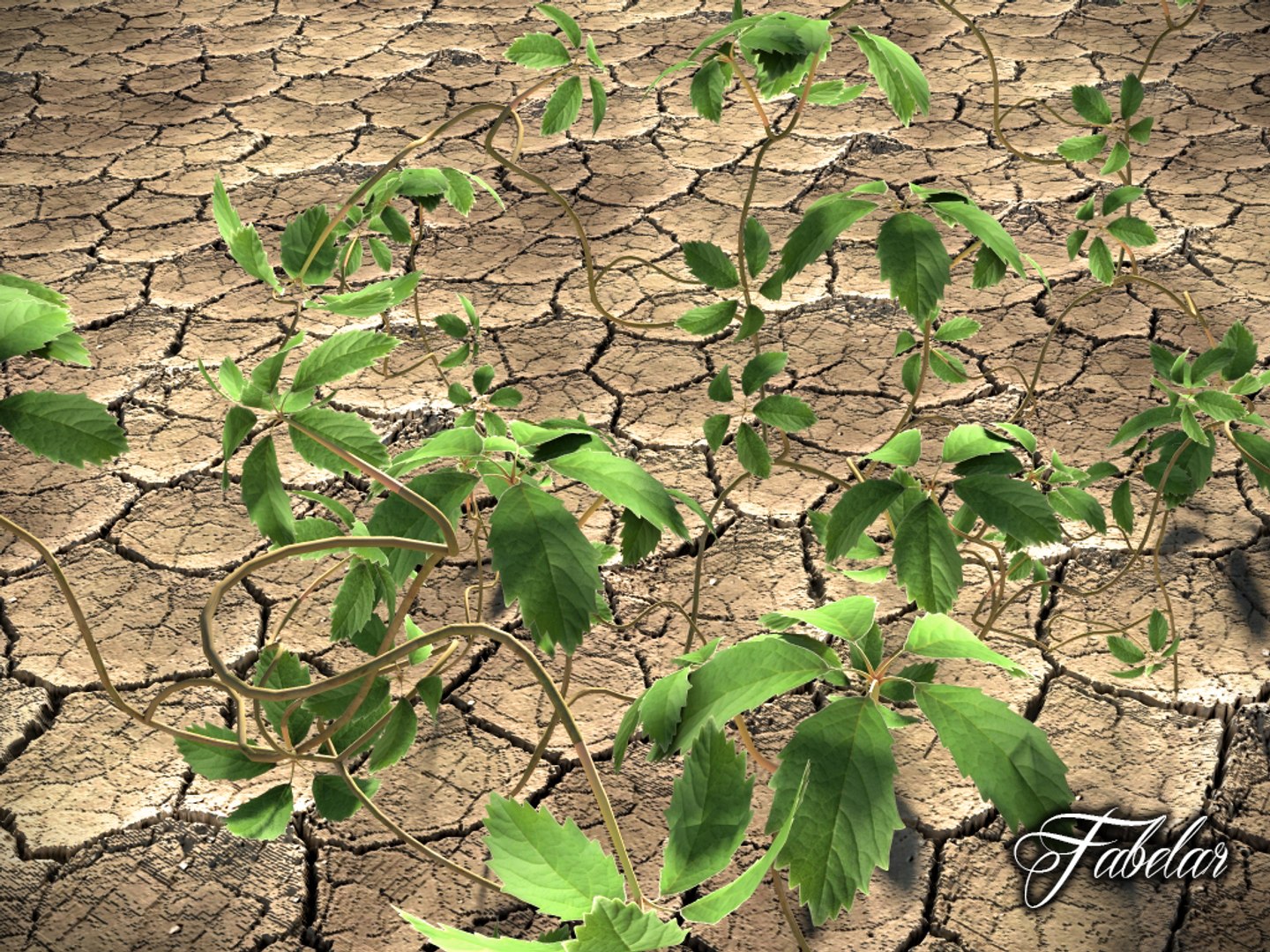 virginia creeper obj https://p.turbosquid.com/ts-thumb/hH/lAFExL/bDbjA5nI/vitecan_01/jpg/1384979730/1920x1080/fit_q87/3eb79943987275b0dce349058dc78ae7e76cd178/vitecan_01.jpg