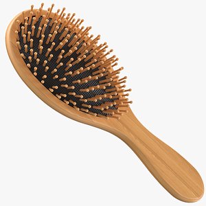 Wooden Brush 3D Model
