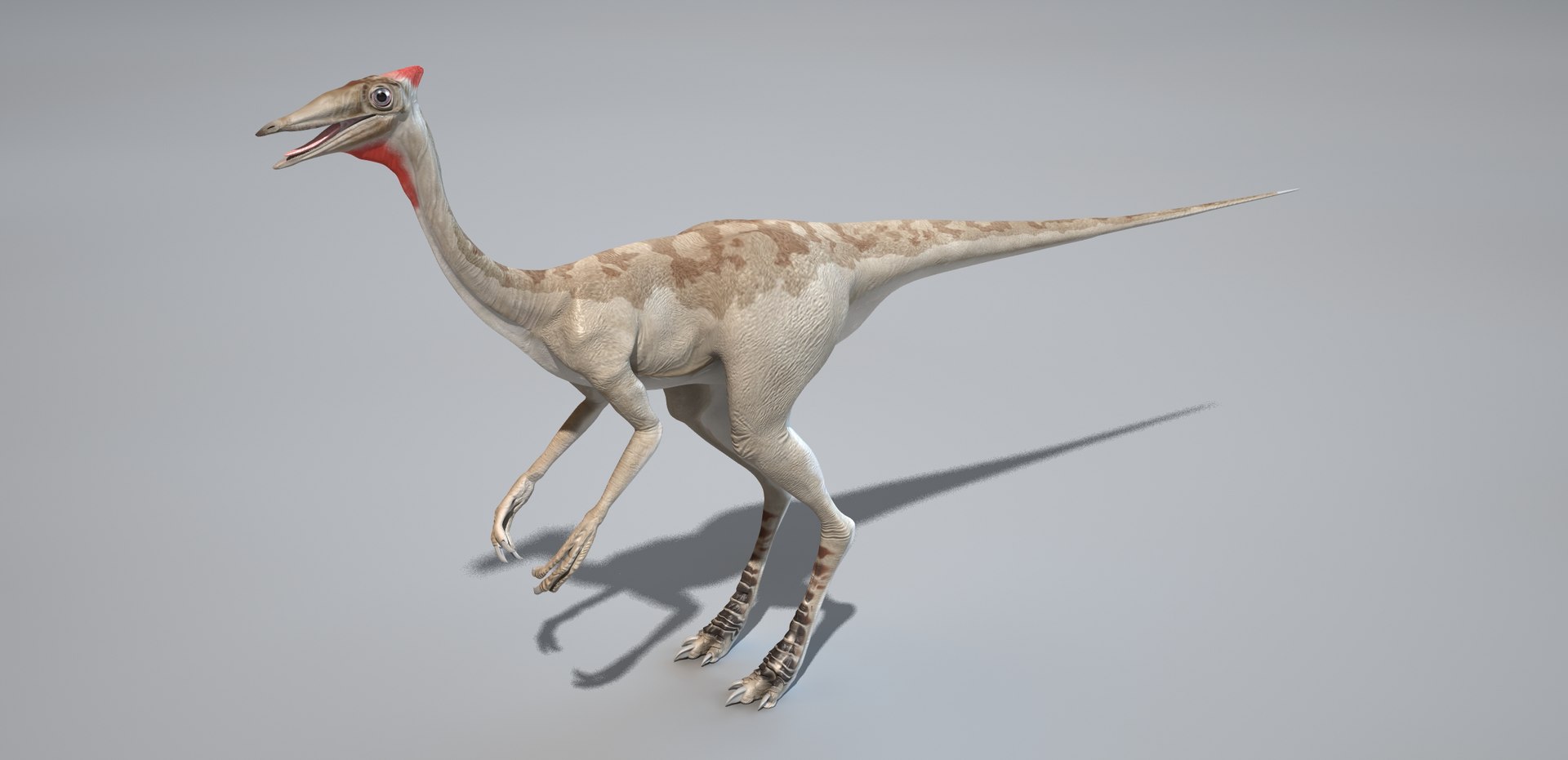 3D Pelecanimimus 2 model https://p.turbosquid.com/ts-thumb/hH/tswnLU/Jz/07/jpg/1655916227/1920x1080/fit_q87/ec506641928b3947cad2d92e8f593bc7ef382ca8/07.jpg