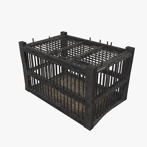 Medieval Cage