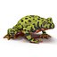 3d model bellied toad frog pose