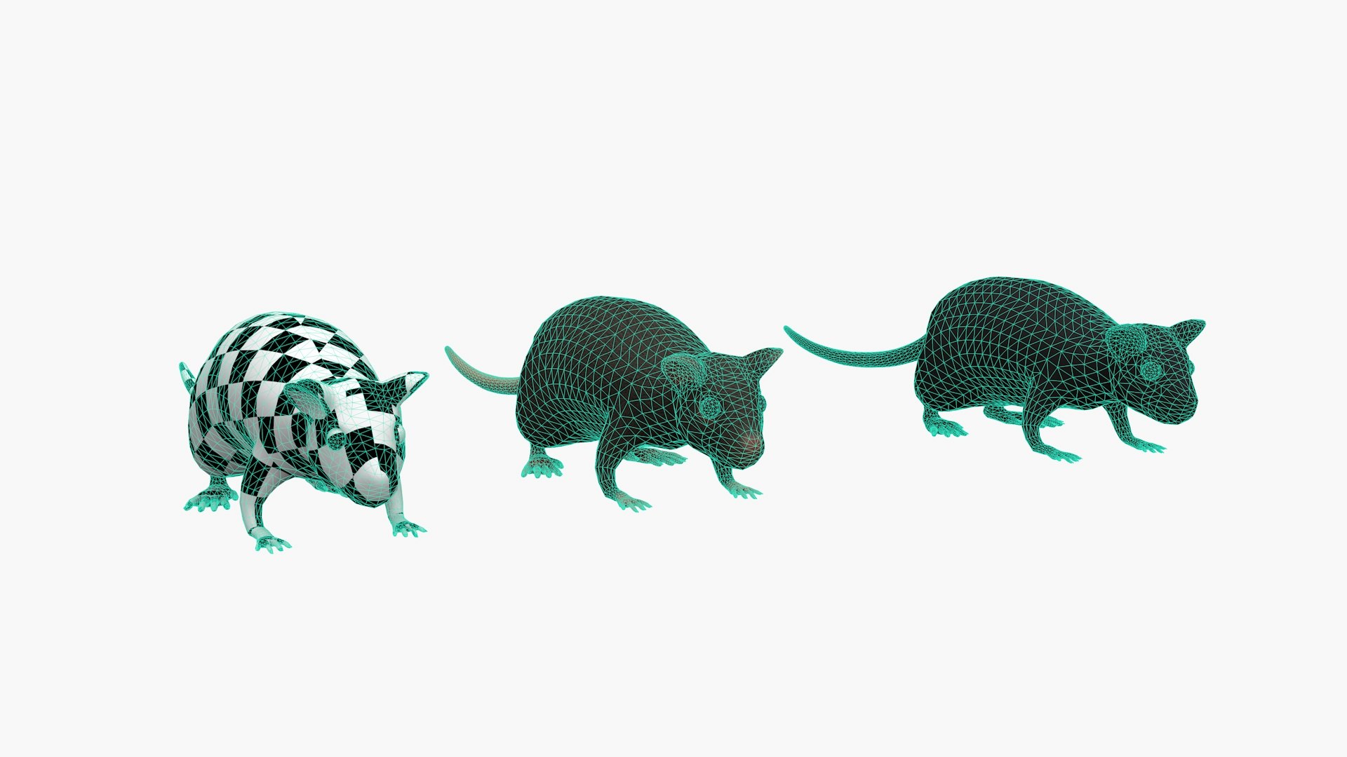 Rat 3D Model - TurboSquid 2079245