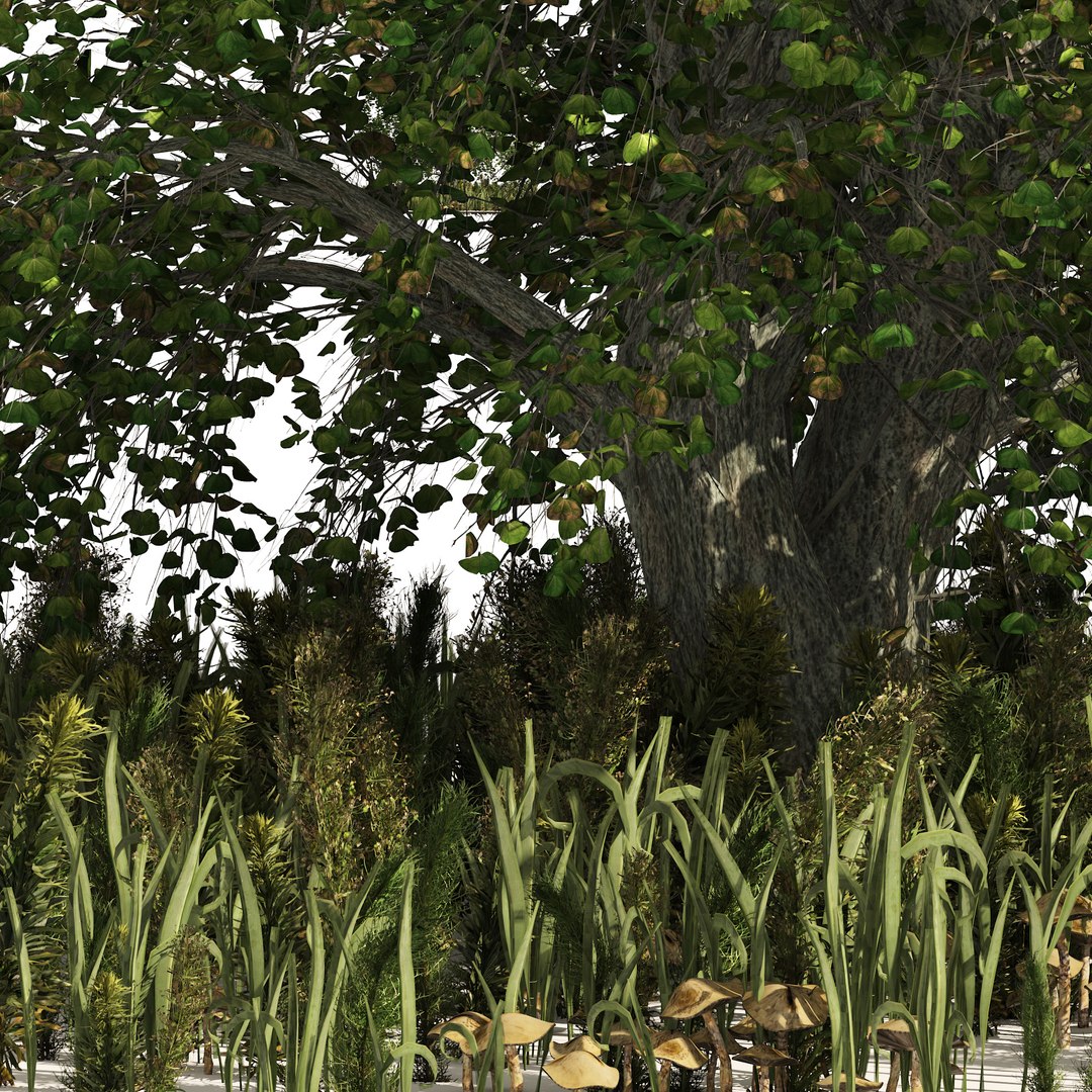Japanese katsura tree grass plants 3D https://p.turbosquid.com/ts-thumb/hI/Eux6Rj/eV/04pp/jpg/1666734980/1920x1080/fit_q87/2bf4cf0937c5b1cabf21ba52af341f7ee9ee45fa/04pp.jpg