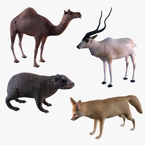 Sahara desert animals