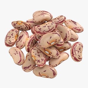 Pinto Bean Pile
