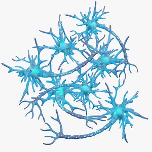 Human Neuron 3D model