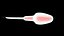 Sperm 3D model