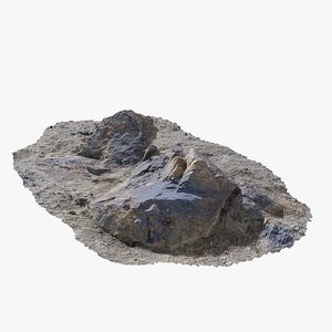 Assembly Ground Rock 27 StemCell