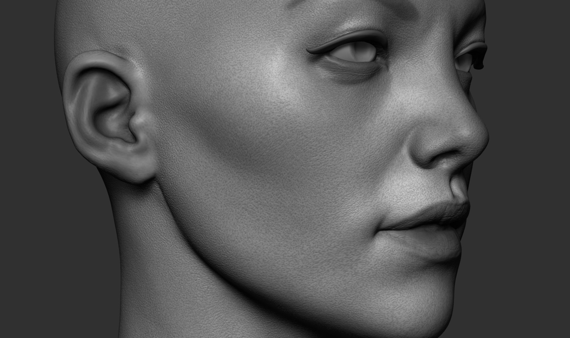 3D Model Female Head TurboSquid 1358761