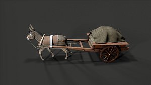 donkey Car 3D model