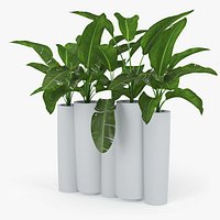 bamboo Progettato dallo studio francese Tous Les Trois banana