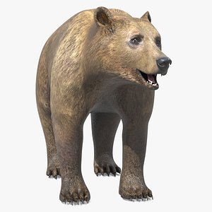 Stylized Brown Bear Figure 3D model