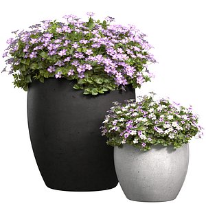 3D model Flowerbed in a garden pot Flowers Garden Plant Patio