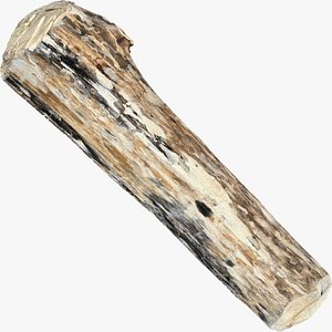 3D model Mottled tree trunk 3d scan highpoly