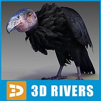 California condor by 3DRivers