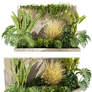 Collection plant vol 468 - garden - grass - outdoor - leaf - palm - 3dsmax - cinema 4d 3D model