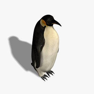Penguin