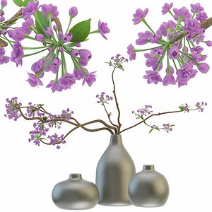 blooming sakura branches vase 3D model