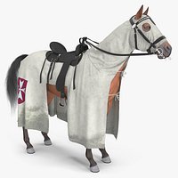 Crusader Horse Armor Dirt Fur