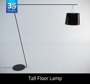 tall floor lamp max