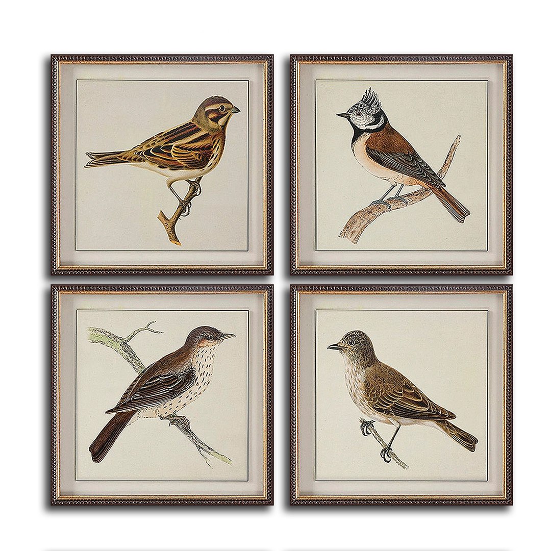 pictures set 50 3D https://p.turbosquid.com/ts-thumb/hJ/wnYzMQ/F0vlLSbS/2/jpg/1560257673/1920x1080/fit_q87/ee38a0a28e6befa22665d250524a33707ddda89b/2.jpg