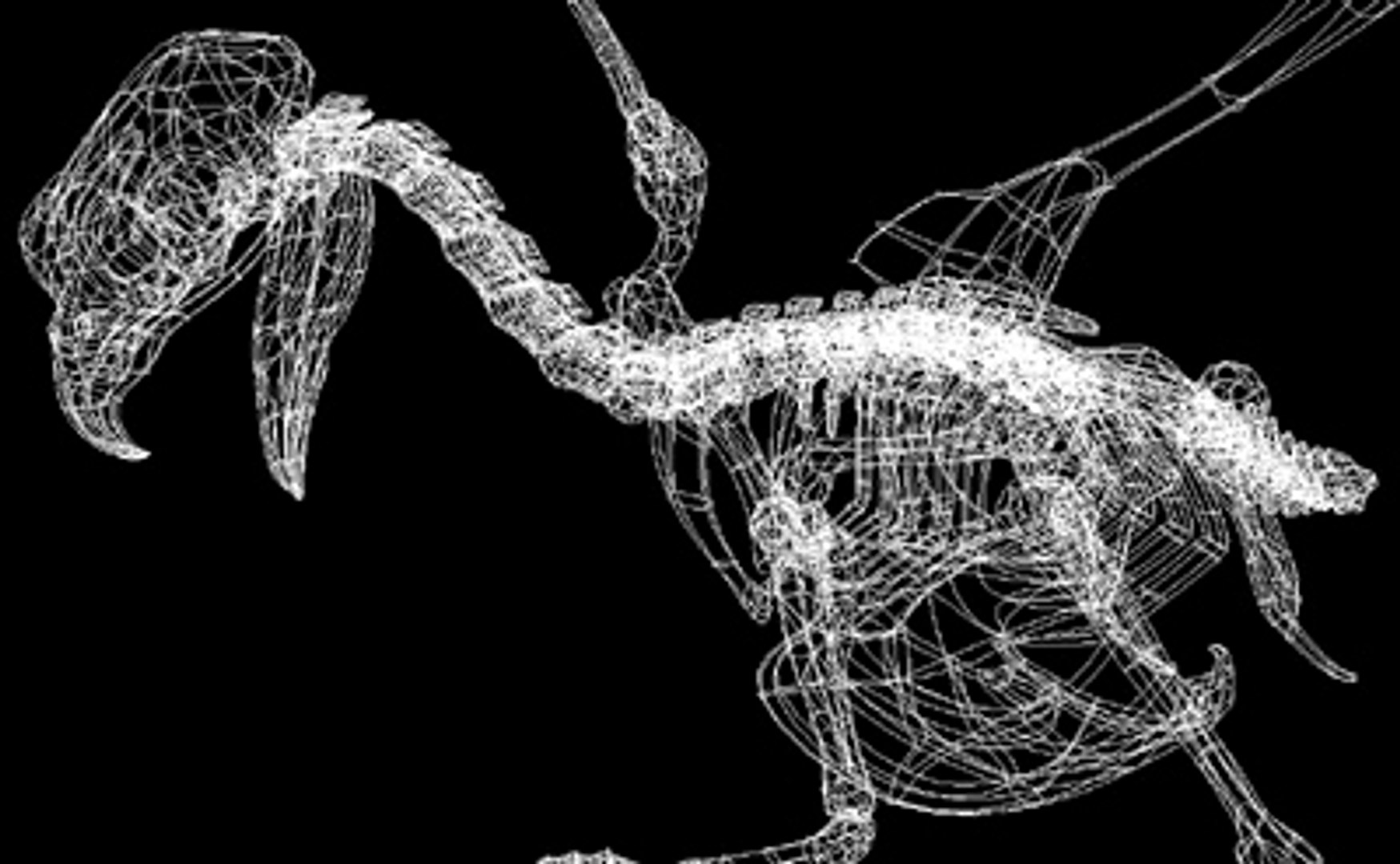 Bird Skeleton C4d