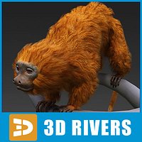 Golden lion tamarin by 3DRivers