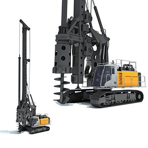 Rotary Drilling Rig