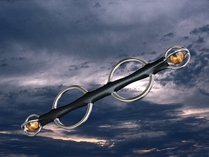 free max model staff