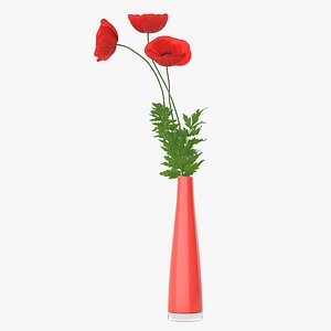 3D Poppy Flowers In Vase model