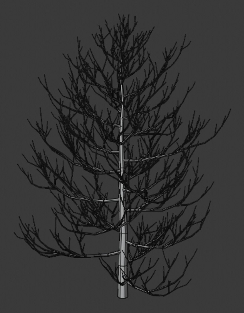 3D pine trees https://p.turbosquid.com/ts-thumb/hK/Gzg3OA/0knhlwC0/10/png/1598189895/1920x1080/fit_q87/08281e9137639f38c53db4c48ca9f4068bd4b960/10.jpg